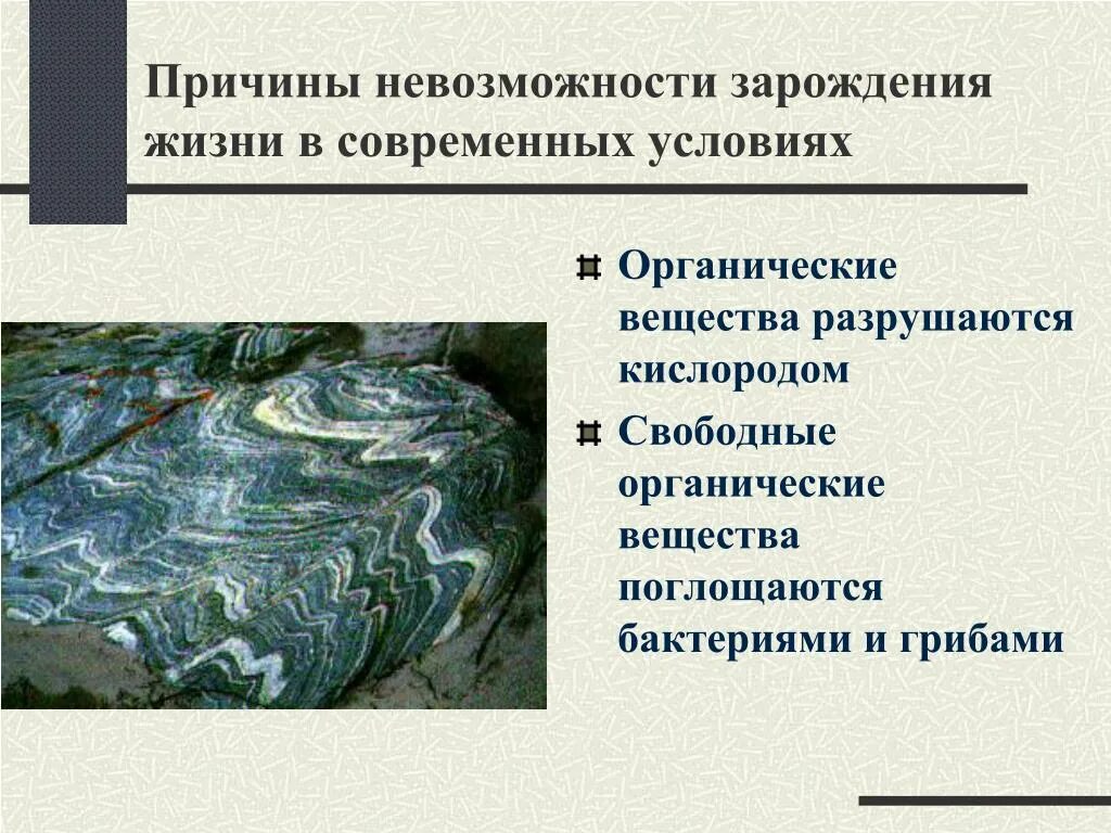 Как осуществлялось защита жизни до появления. Современное Зарождение жизни. Невозможность самозарождения жизни в современных условиях. Почему невозможно самозарождение жизни в современных условиях. Самозарождение жизни на земле.