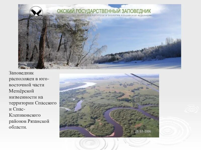 Мещера окский заповедник. Мещера окский заповедник. Окский заповедник тундра. Брыкин бор зубры. Брыкин бор зубры.