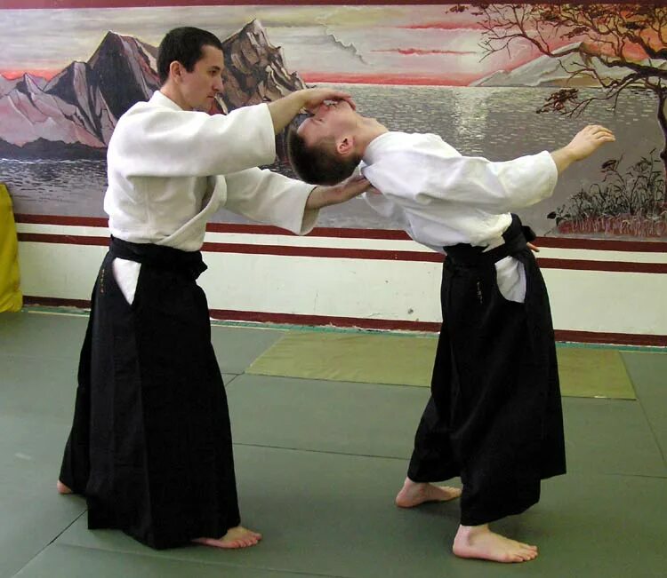 Уроки айкидо. Нэцуи айкидо спб. Володин алексей леонидович айкидо казань. Виктор иванович бурба айкидо. Айкидо видео уроки.