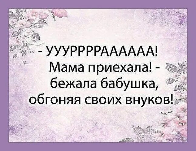 Правнуки это счастье. Цитаты про внуков. Внуки это счастье цитаты. Мама приехала бежала бабушка. Мама приехала молодую