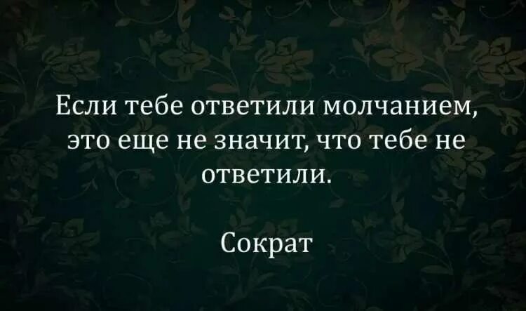 Я долго молчал цитаты. Иногда не пишет один человек а кажется что молчит весь мир. Парень пишет молчишь. Долго будешь молчать. Парень пишет молчишь.