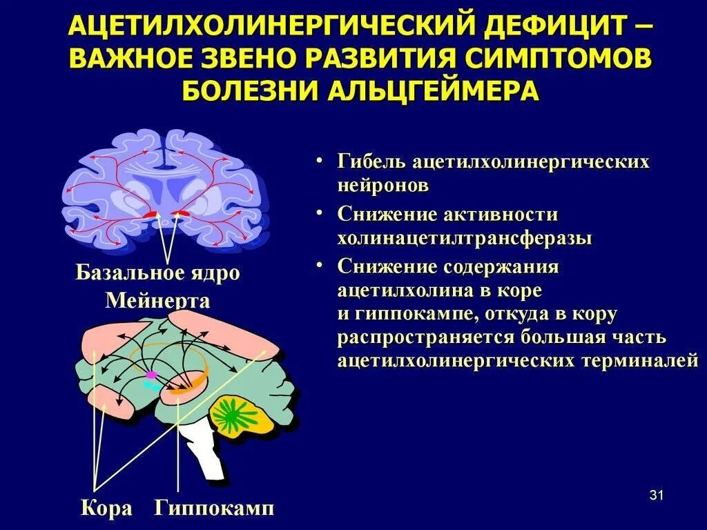 Болезнь айцгельмера это что. Болезнь Альцгеймера. Базальное ядро Мейнерта. Причины развития болезни Альцгеймера. Причины Альцгеймера.