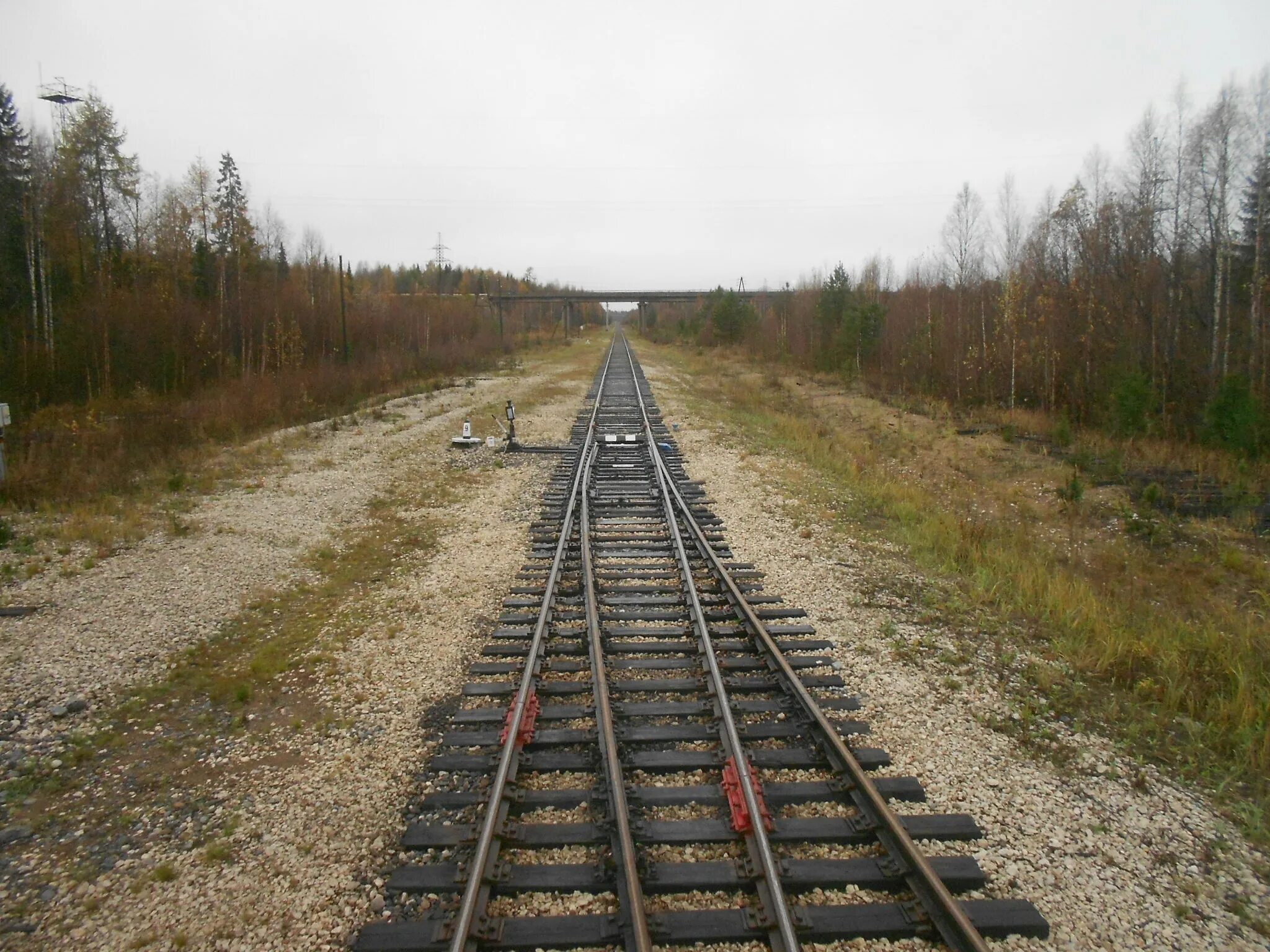Усинск железнодорожный вокзал. Жд станция керки. Станция ираель республика коми. Станция сосногорск северной железной дороги. Жд станция сосногорск.