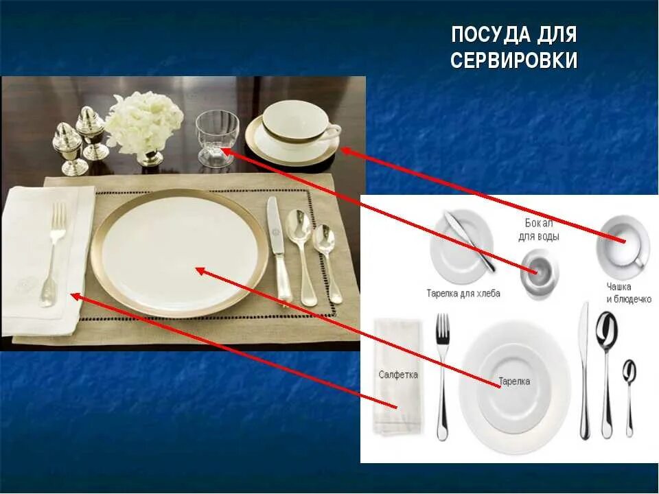 Технология (девочки) 6 класс уроки 11-12