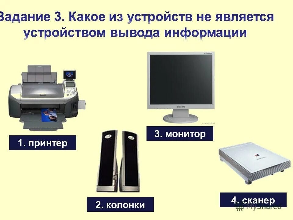 Сканер монитор. Принтер сканер монитор. Монитор принтер колонки.