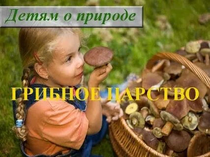 Грибы для детей видео развивающее