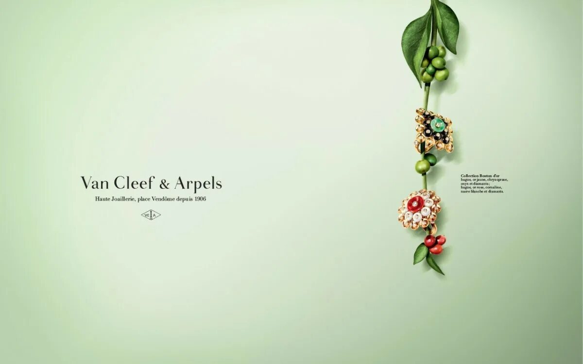 Ван клиф бланк. Van Cleef Arpels. Ван Клиф реклама. Van Cleef Arpels реклама. Van Cleef & Arpels: бренд,.