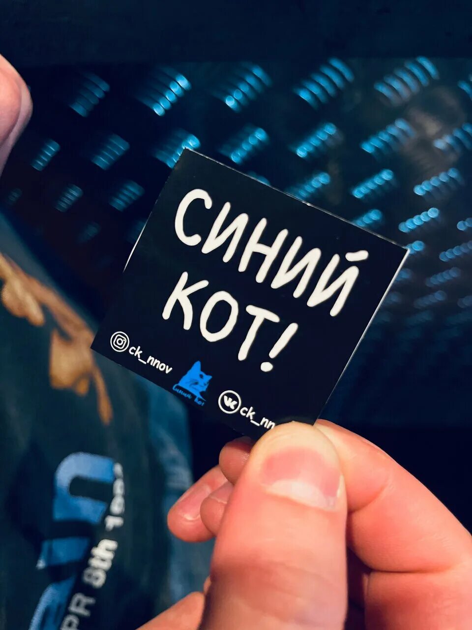 бар синий кот. синий кот ижевск. синий кот паб. синий кот в ресторане. бар синий кот санкт-петербург.