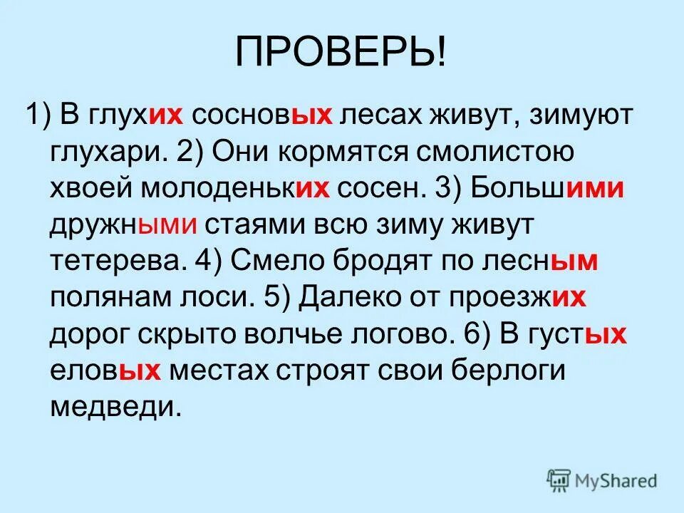 у леса на опушке текст. как белки готовятся к зиме. в глухих сосновых лесах. у леса на опушке слова. приспособление белки к зиме.