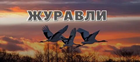 Исенгазин журавли журавушки