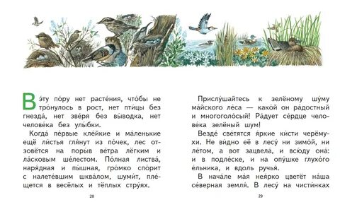 Лесной календарь читать