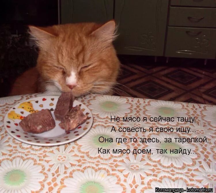 приходите на чаек. девушка с самоваром. я еду в гости. кошачья колбаса. чаепитие с самоваром.