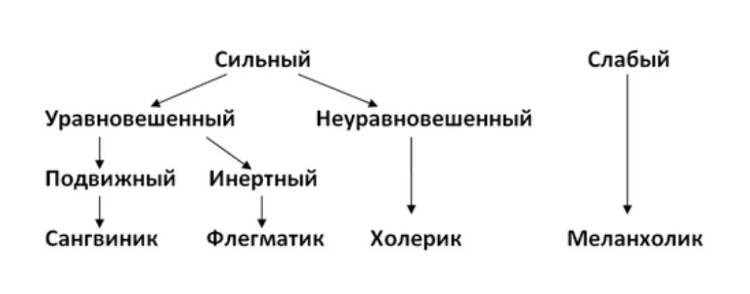 Сильный уравновешенный подвижный тип нервной