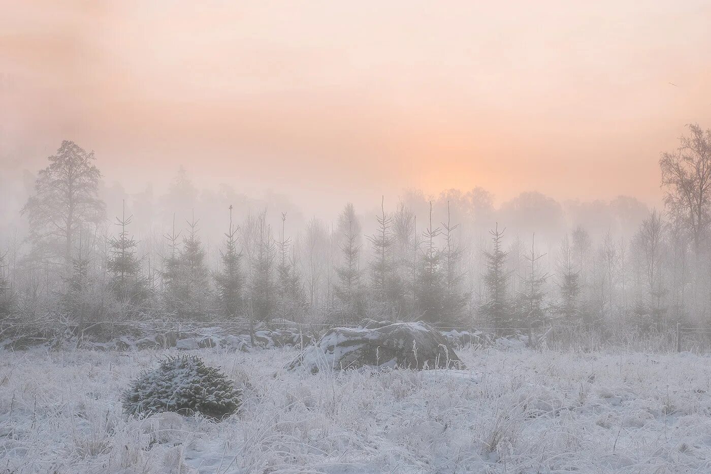 Cold fog. Cold fog. Туман. Холодный туман фон. Холод туман.