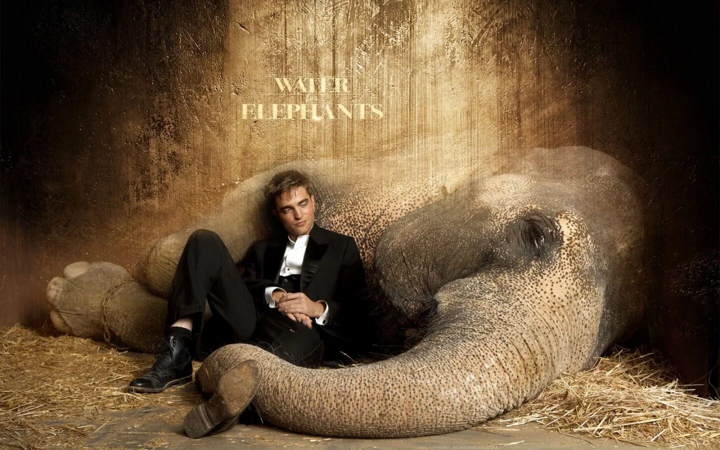 Воды слонам отзывы. Воды слонам! Water for Elephants, 2011. Кристоф Вальц воды слонам.