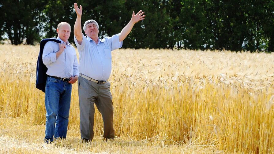 Фермеры продали 1364 т пшеницы. Сельское хозяйство.