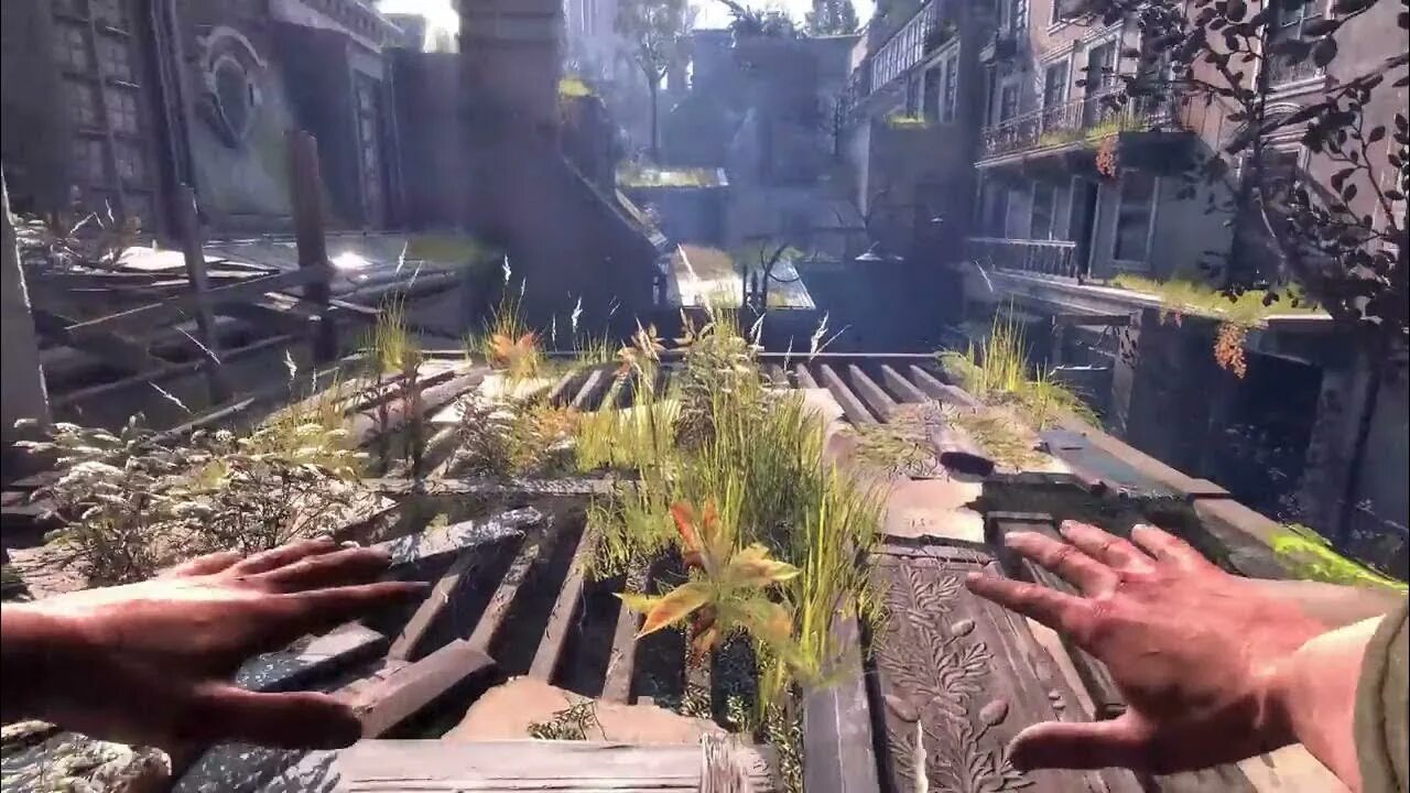 Dying light xbox series