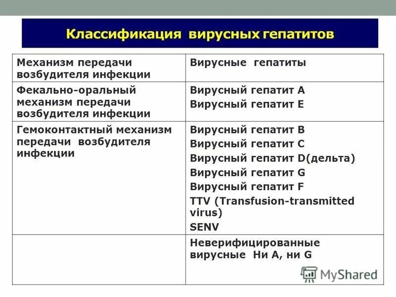 Механизм вирусного гепатита