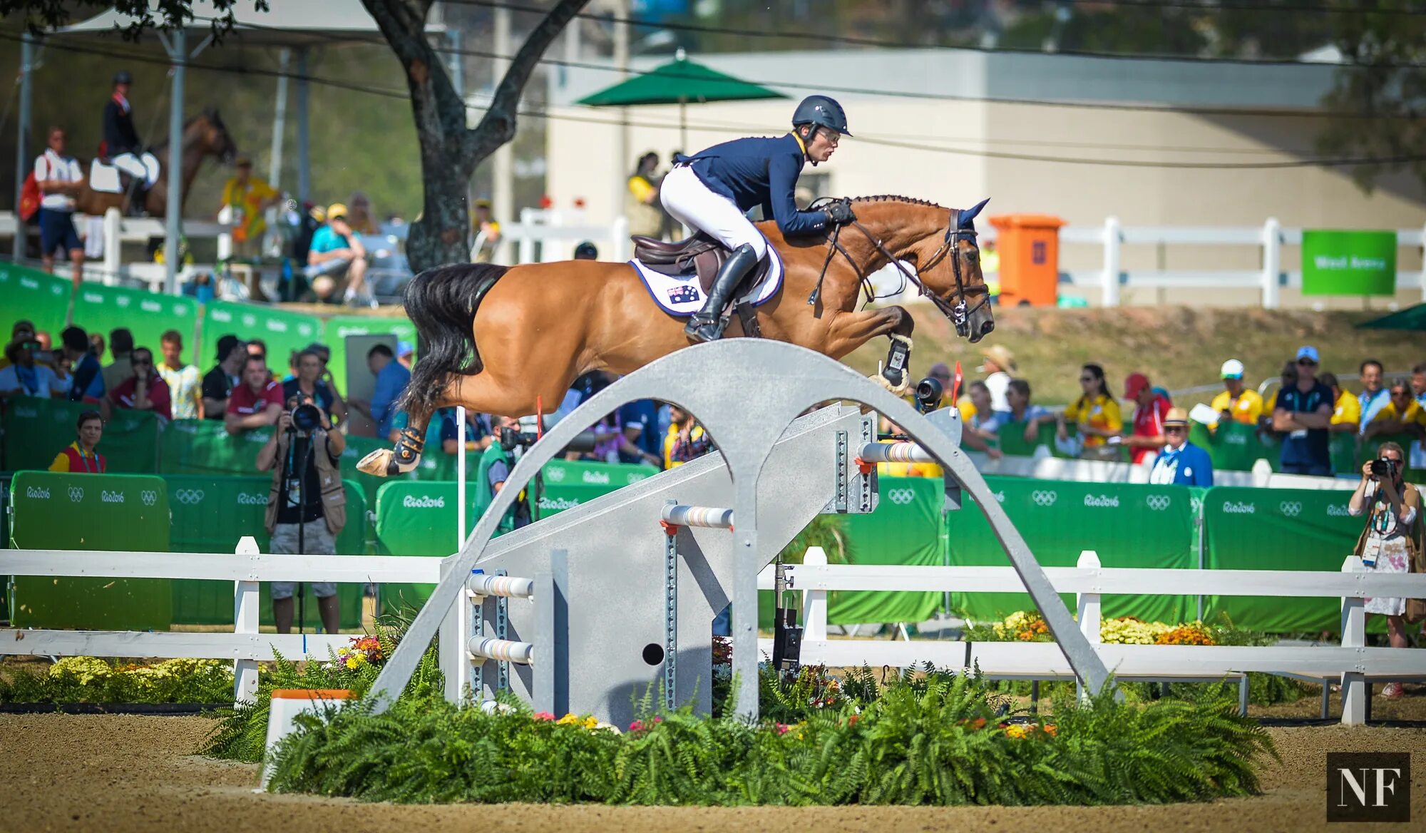 Конный троеборье конкур. Эрин Уильямс конный спорт. Show jumping