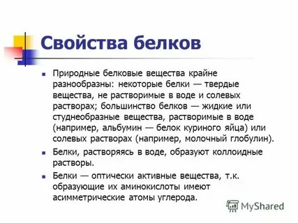 Белка свойства животного