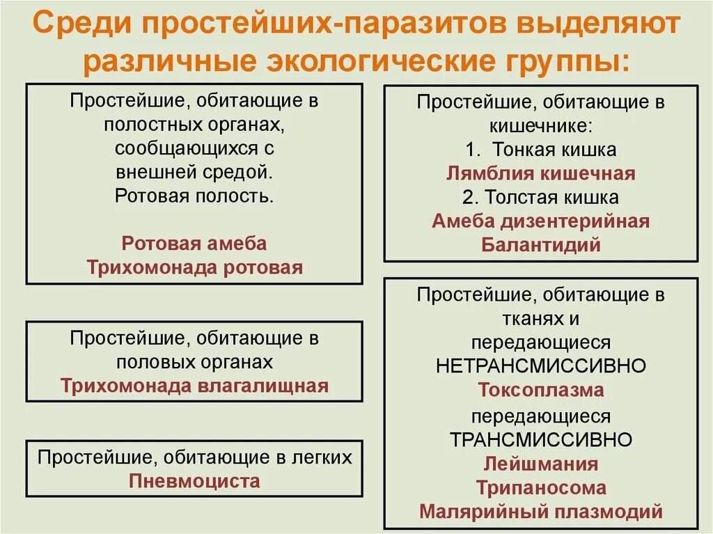 Среди простейших выделяют