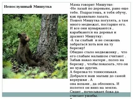 Лажу по деревьям как правильно