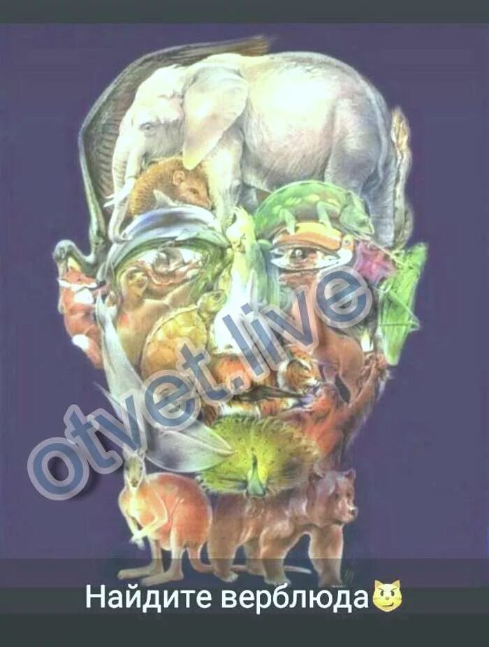 Тест на альцгеймера найти верблюда. Лицо из животных. Тест на альцгеймера найти верблюда. Тест на болезнь альцгеймера верблюд. Naidi verbluda.