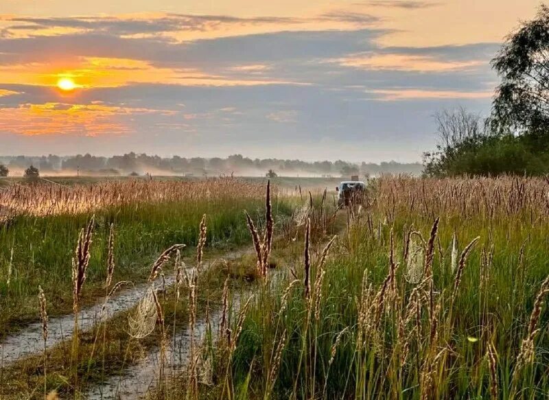 спадчына текст. степи республики молдова. сочинения по белорусскому языку. летняя раніца сачыненне. белорусский художник качан.