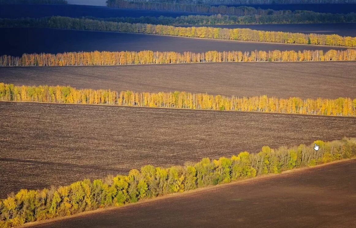 Агролесомелиорация мелиорация. Каменная степь докучаева. Создание лесных полос. Полезащитные лесные насаждения. Лесополоса генко.