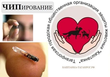 Для чего нужен чип