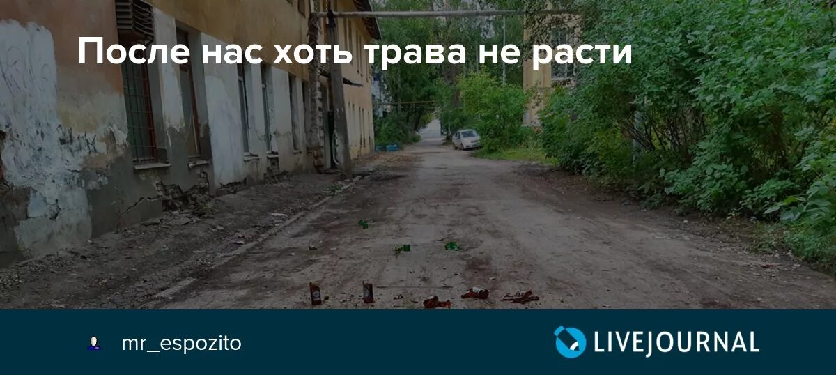 Значение пословицы там хоть трава не расти. Хоть трава не расти. Пословица хоть трава не расти. А после нас трава не расти. Поговорка а там хоть трава не расти.