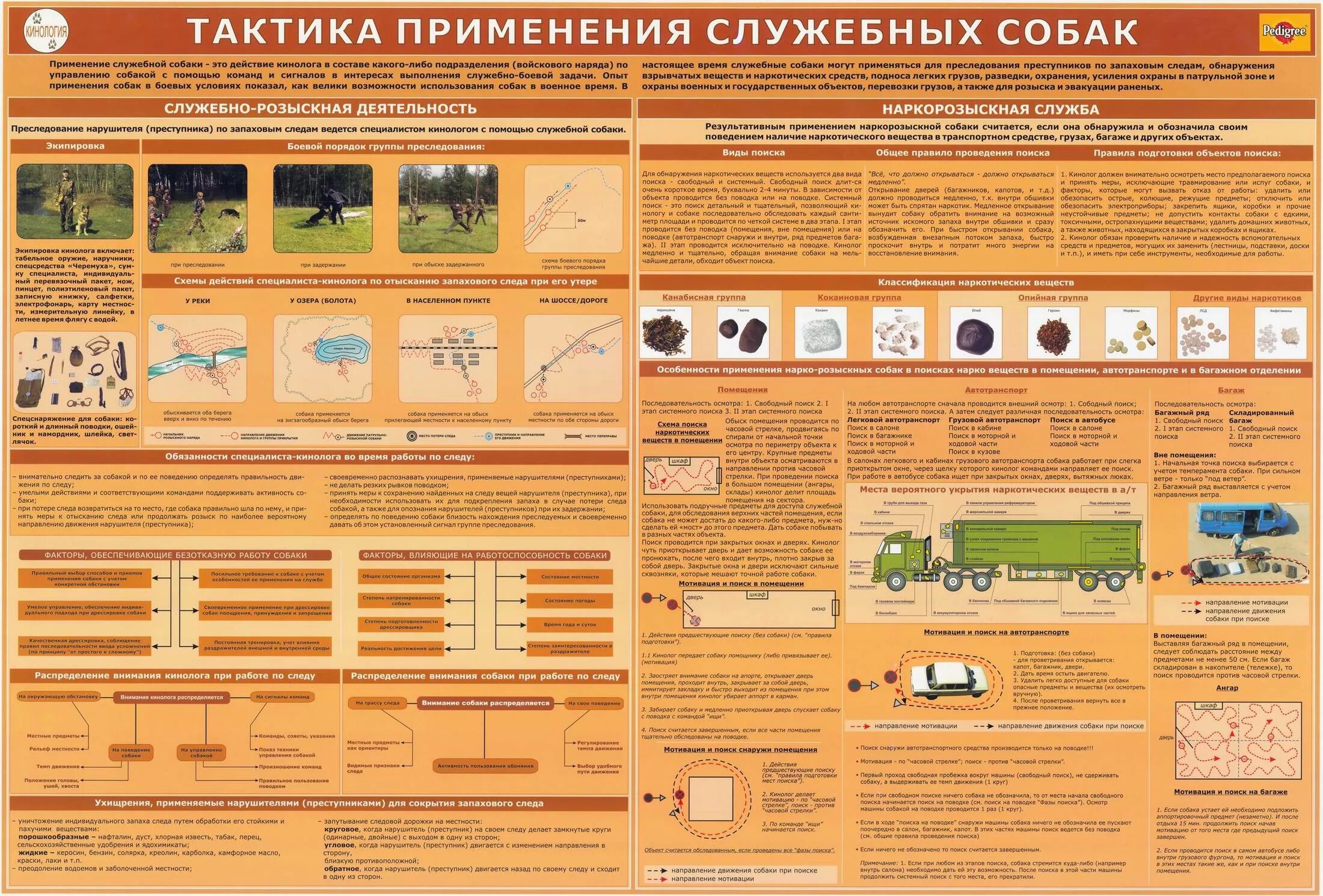 Презентация на тему кинолог. Сфера деятельности кинолога. Кинологи транспортной полиции. Кинолог для дошкольников. Проект служебные собаки.
