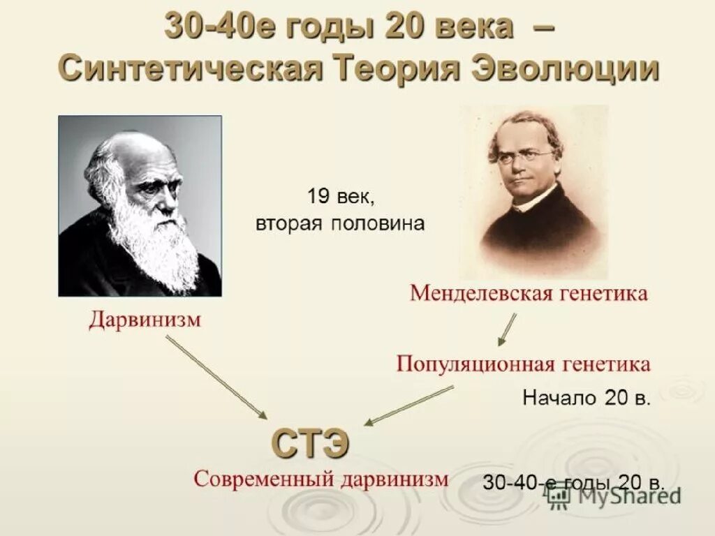 Создание эволюционной теории