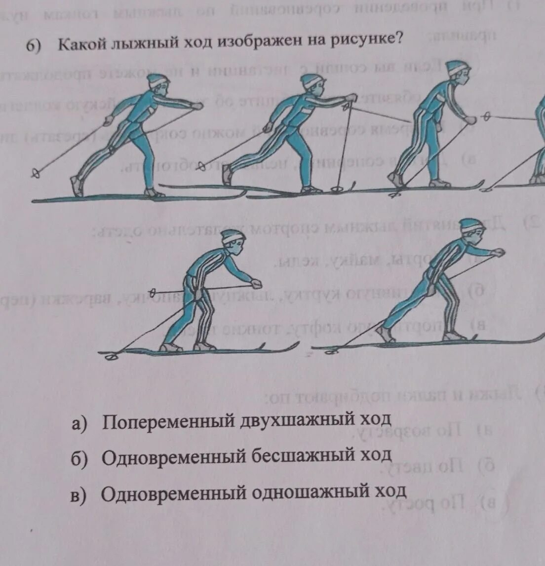 Как называется лыжный ход на картинке. Двухшажный коньковый ход. Одновременный двухшажный классический ход на лыжах фазы. 5 Классических лыжных ходов. Трехшажный ход на лыжах.