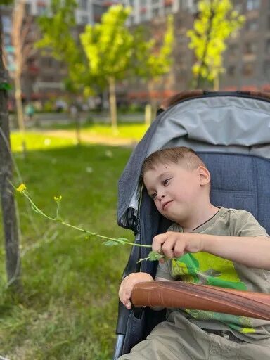 Почему ребенок родился с дцп. 2 Брата близнеца на коляске. Братья Близнецы маленькие.