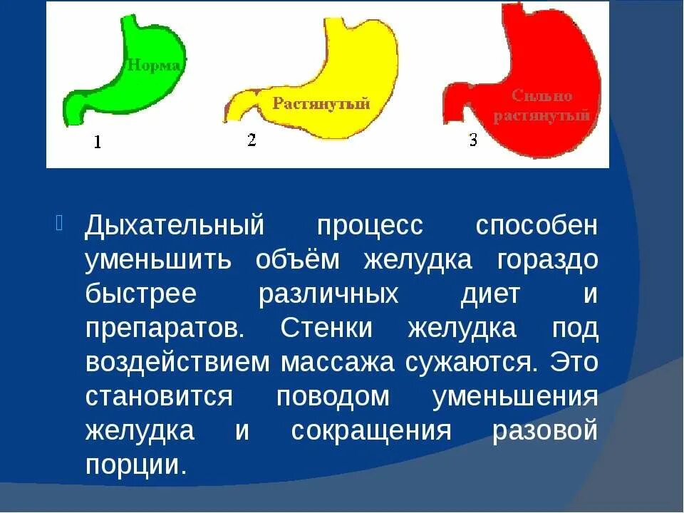 Объём желудка взрослого человека. Уменьшить объем желудка. Уменьшение объема желудка. Как уменьшить желудок без операции