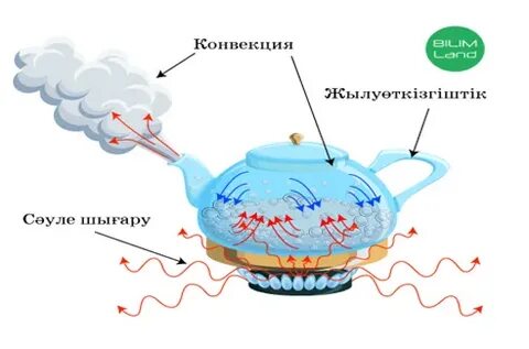 Жыныстық қатынас туралы бейне
