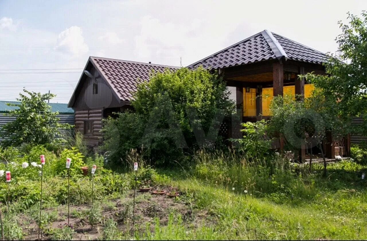 Загородная барнаул. Дачи-в-Барнауле. Садовое товарищество фото. Садоводство агрегат Барнаул. Дача за 1 миллион рублей.