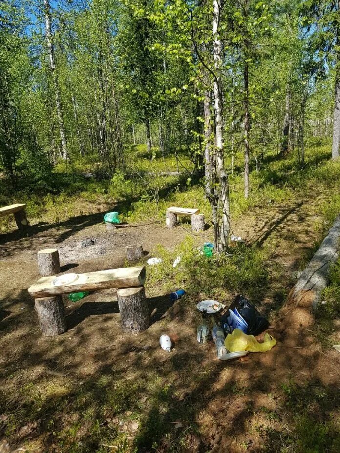 Подслушано в усинске в контакте. Усинская тропа здоровья. Тропа здоровья Усинск. Усинск тропа. Тропа здоровья Усинск животные.