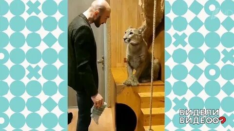 Видели видео время