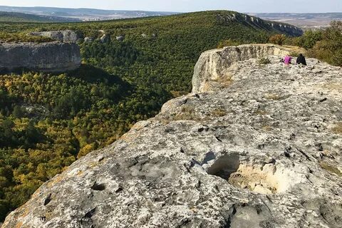 Куле форум