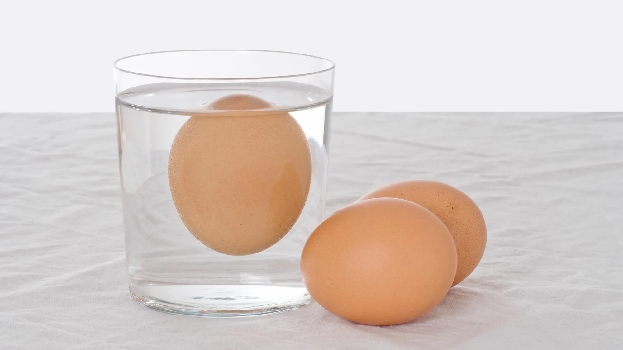 Проверить яйца на свежесть в воде домашних. Свежее яйцо. Яйцо в воде. Яйцо всплывает. Свежесть куриных яиц.