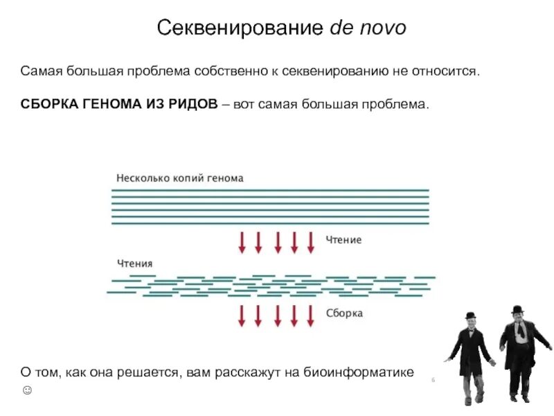Секвенирование презентация 10 класс. Секвенирование. секвестирование генома. сборка генома. сборка генома de novo.
