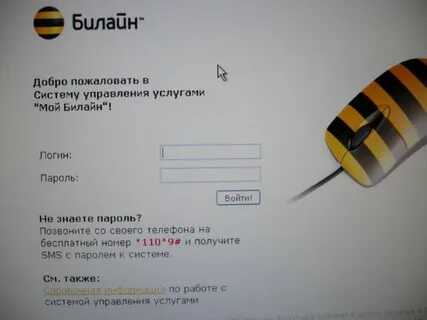 Срок действия номера билайн