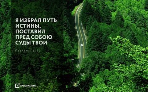 Избранный путь