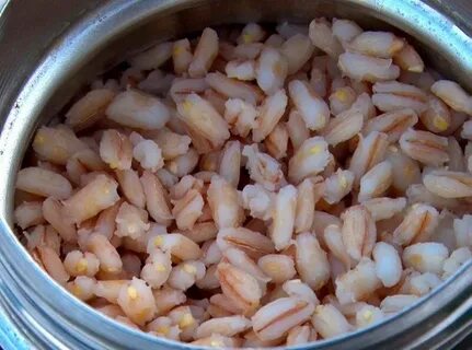 Пшеница для рыбалки