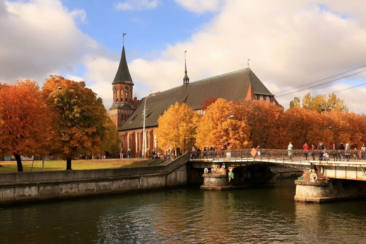 Kaliningrad go