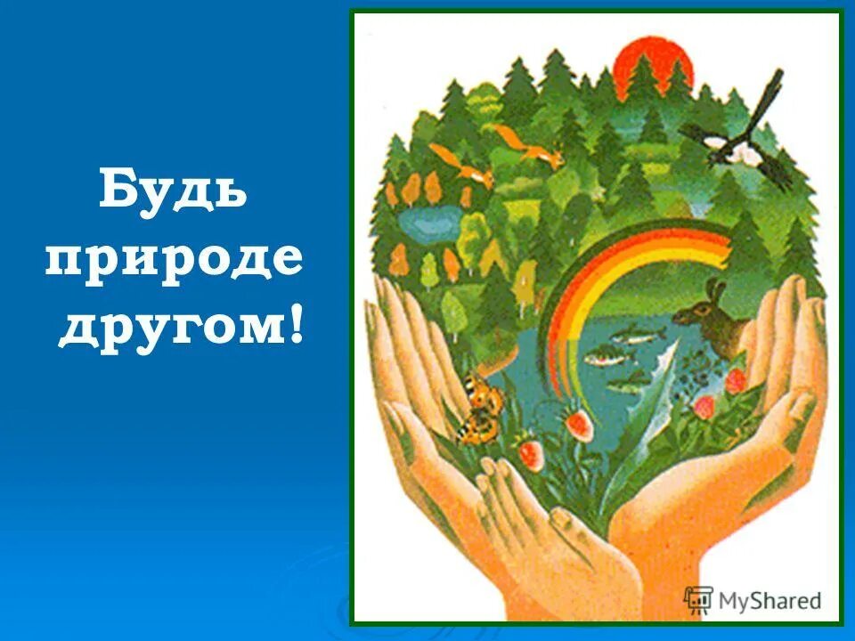 плакат будь природе другом. будь другом. собака для детей. памятка друзей природы. окружающий мир будь природе другом.