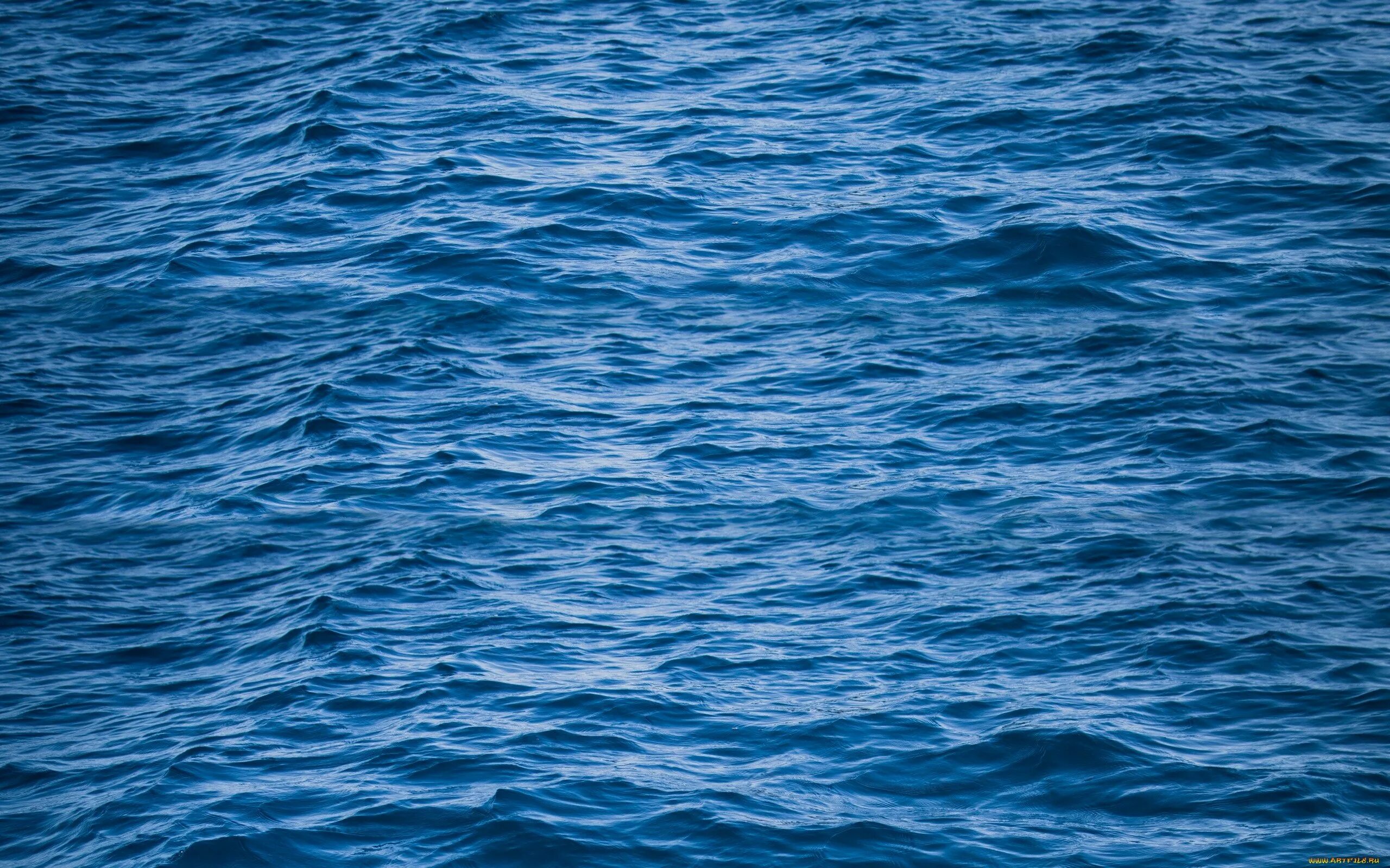 Океан. Голубое море. Цвет водной глади. Море вода. Водная гладь реки.