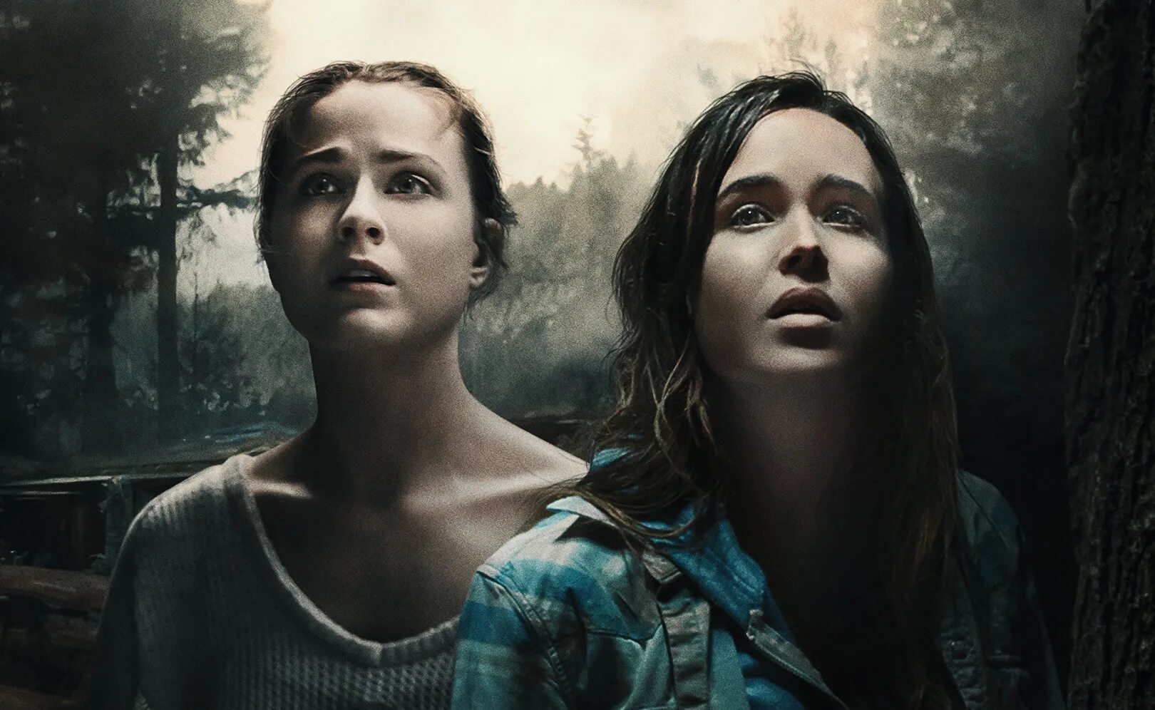 В изоляции into the Forest, 2015. Эллен пейдж в лесу.